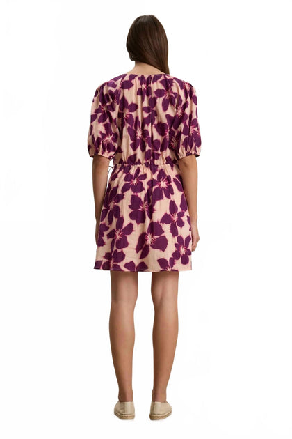 Velvet by Graham & Spencer Hazel Mini Dress Multi XSmall 4