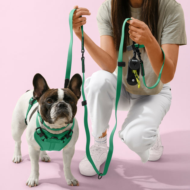 The Licker Store Luna Laisse et collier 6-en-1 Multi Medium 4