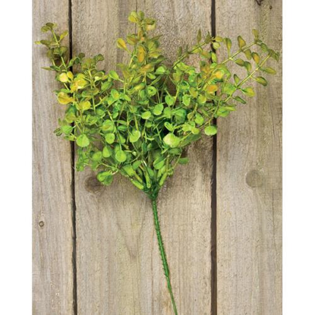 Hivvago Baby's Grass Pick 9in Light Green 3