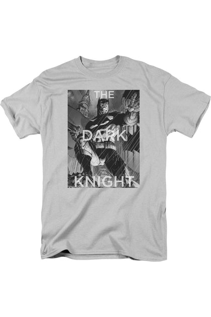 Gildan Batman Fighting The Storm T-Shirt Grey Large 2
