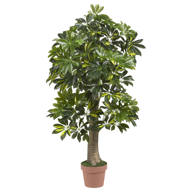 Arbre Schefflera 120 cm Hivvago (Toucher Réel) 2