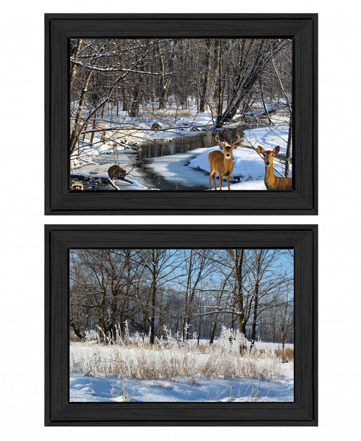 Hivvago Great Outdoors Winter Forest 3 Framed Print Wall Art Black 3