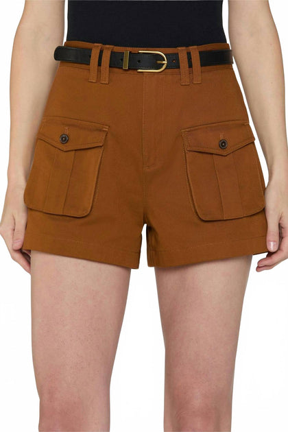 FRAME The Scout Short Brown 27 2