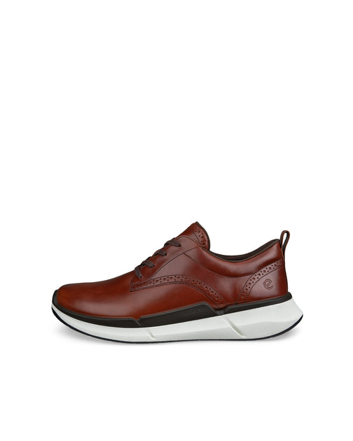 ECCO Biom 2.2 Hybrid Shoe Brown 41 2