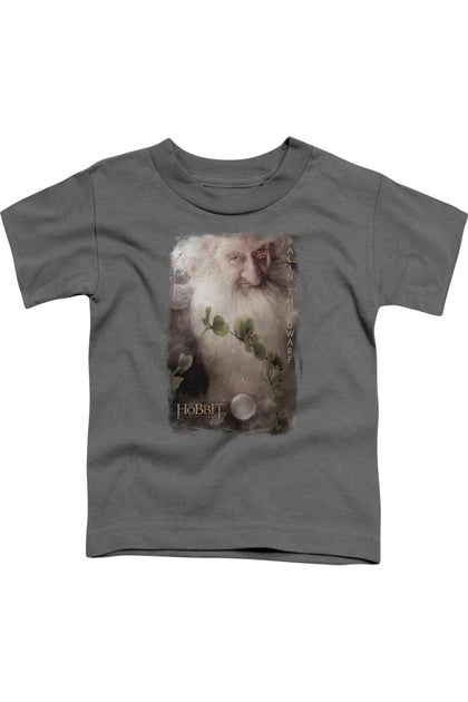 Gildan The Hobbit Balin Short Sleeve T-Shirt Pink 4 Years 2