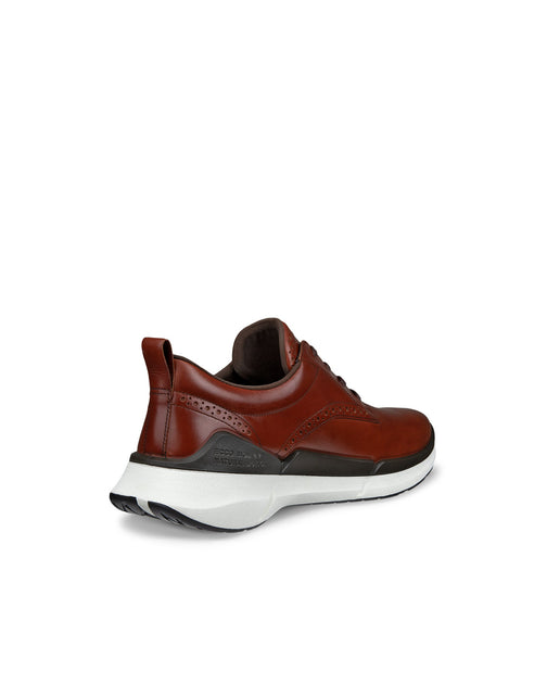 ECCO Biom 2.2 Hybrid Shoe Brown 41 4