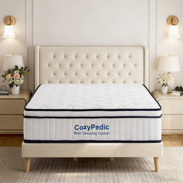 GOODSILO Medium Firm Queen Memory Foam Mattress with Springs 3