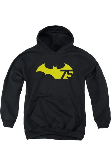 Gildan Batman 75 Logo 2 Sweat à Capuche Enfant Noir XL 2