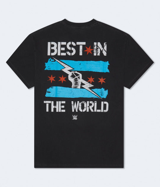 Aeropostale WWE CM Punk Graphic Tee Black Medium 2