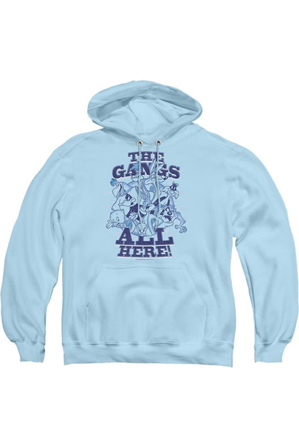 Gildan Looney Tunes Hoodie Blue Large 2