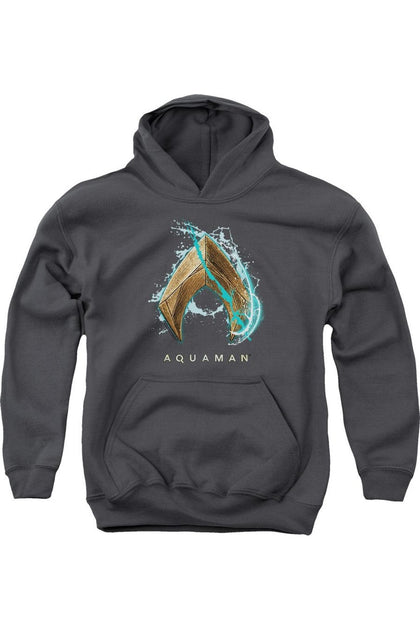 Gildan Aquaman Movie Water Shield Youth Pullover Hoodie Grey Large 2