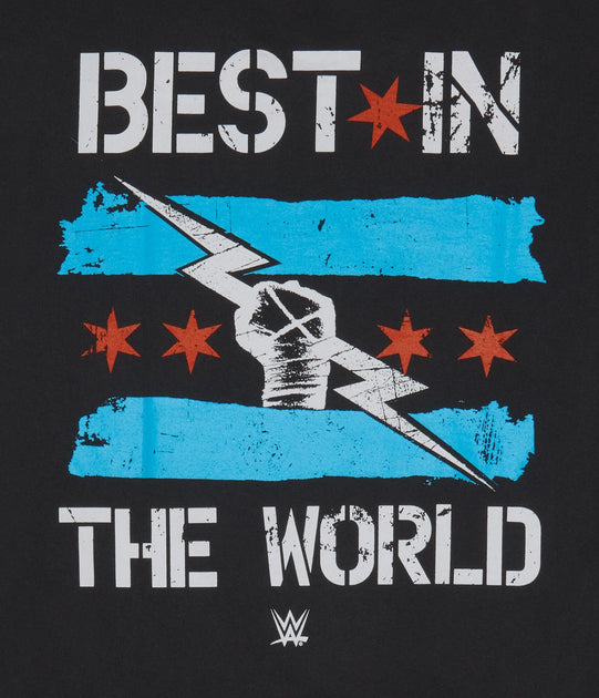 Aeropostale WWE CM Punk Graphic Tee Black Medium 4