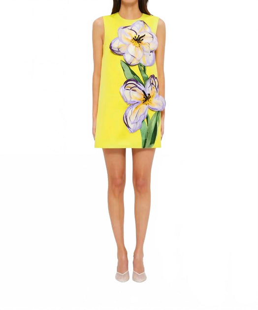 knee length dresses for ladies Yellow Iris Print Rayna Maxi Dress main image 0