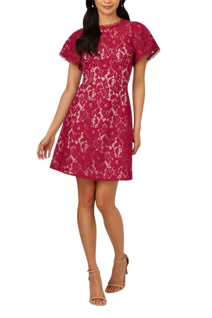 TRUEDAMES A-Line Short Dress Lace Brown US 4 2