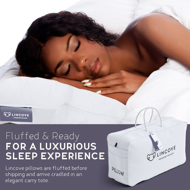 Lincove Down Feather Bed Pillow White Standard 4
