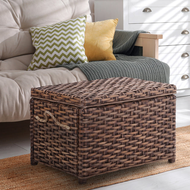 Happimess Jacob 30in Wicker Storage Trunk Dark Brown 3