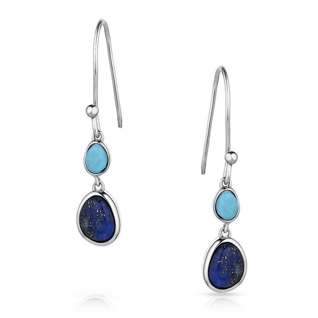 Montana Silversmiths Nature's Obsession Earrings Blue One Size 2