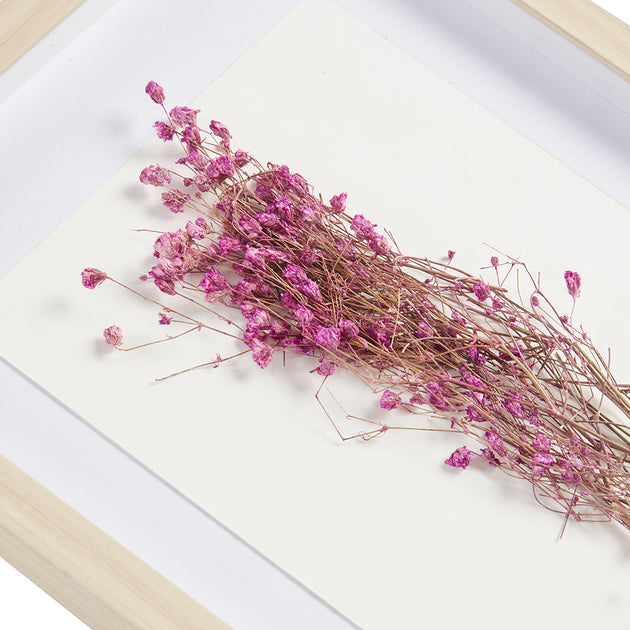 Streamdale Avant Garden Dried Flower Shadow Box Wall Decor Set 4