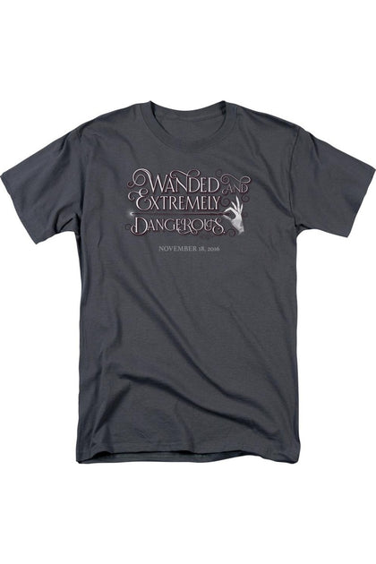 Gildan Fantastic Beasts Short Sleeve T-Shirt Grey XXL 2