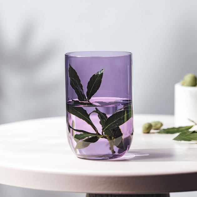 Villeroy & Boch Like Lavender Highball Pair 4