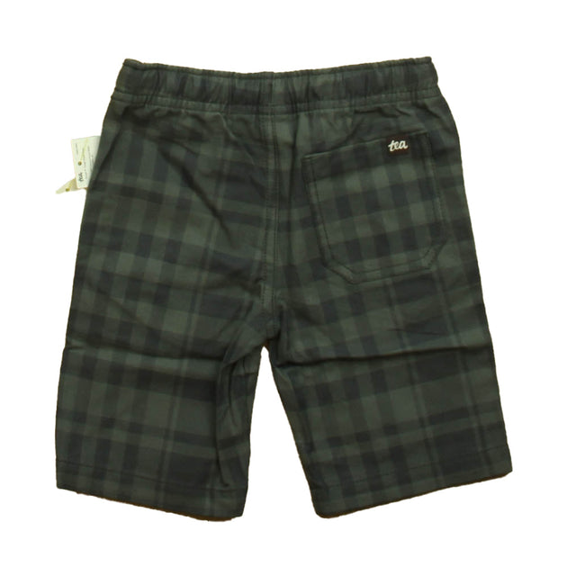 Tea Plaid Shorts Green 2T 3
