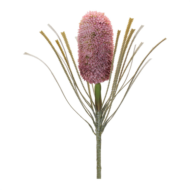 Hivvago Protea Floral Stem Green 5