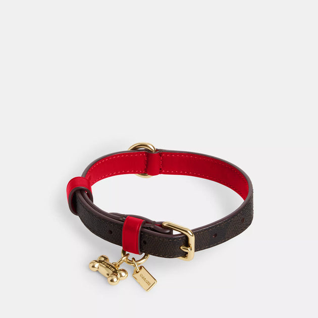 Coach Outlet Boxed Small Pet Collar In Signature Canvas ShopSimon