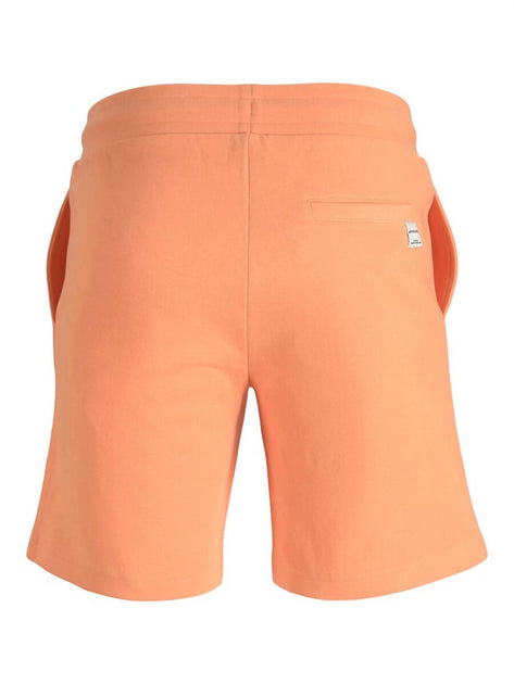 Jack & Jones Nafa Sweat Shorts Multi XSmall 3