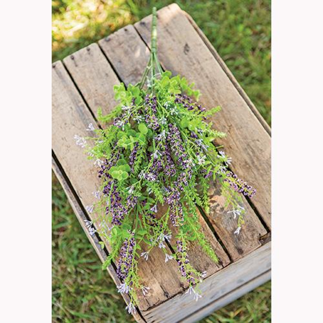Hivvago Buisson Eucalyptus Lavande Baies 3