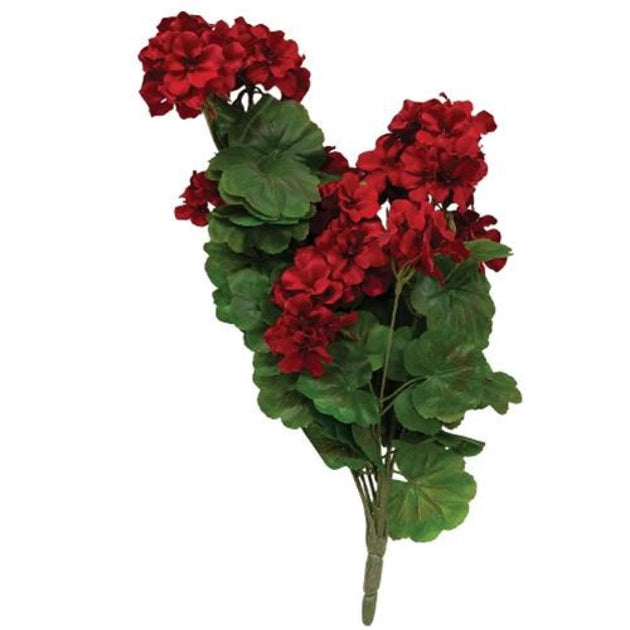 Hivvago Geranium Vine Bush Green 2