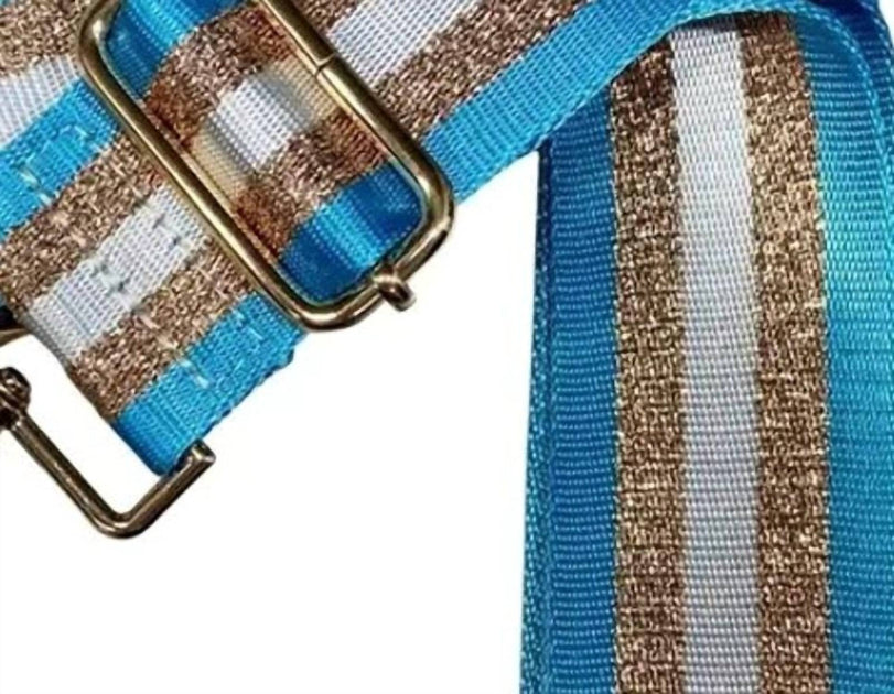 Cthru 5 Stripe Purse Strap Blue 3