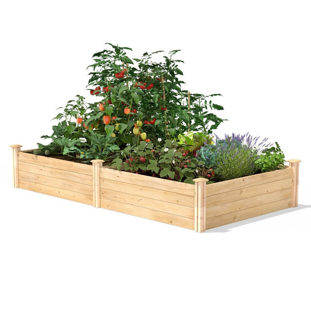 Hivvago Carré Potager en Cèdre 4 ft x 8 ft 2