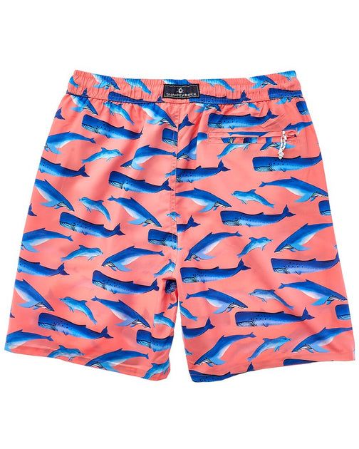 Snapper Rock Whale Tail Swim Short Orange Medium 3