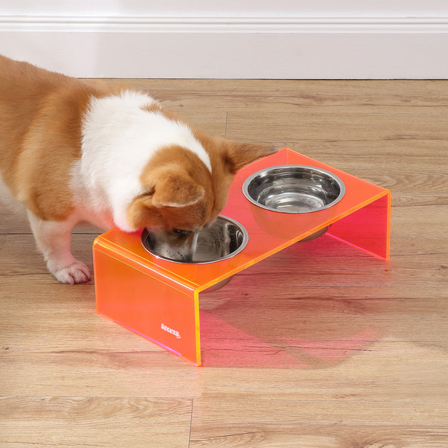 THE LICKER STORE Keaton Pet Feeder Acrylic Multi Large 2
