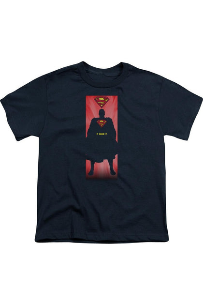 Gildan Superman Block T-Shirt Blue Small 2
