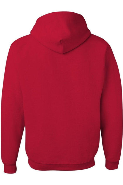 Gildan DC Comics Flash Adult Pullover Hoodie Red Large 3