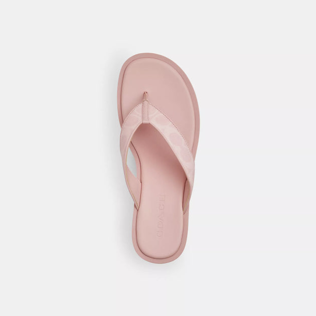 Coach Outlet Thong Wedge Sandal In Signature Canvas | ShopSimon