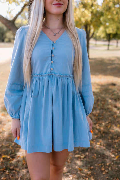 In February Farrah Denim Mini Dress Blue Small 3