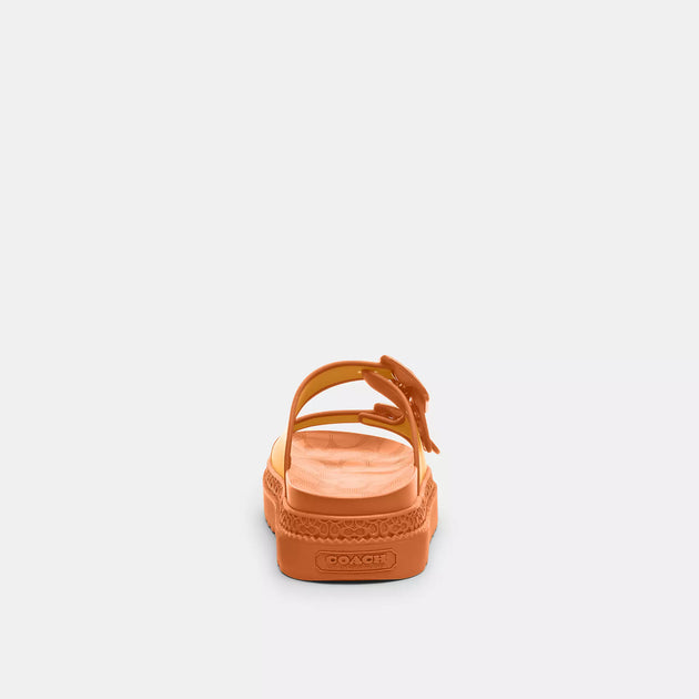 【Coach】Lainey Sandal サンダル ◆国内発送◆ Coach】Lainey Sandal サンダル ◇国内発送◇ (Coach/サンダル
