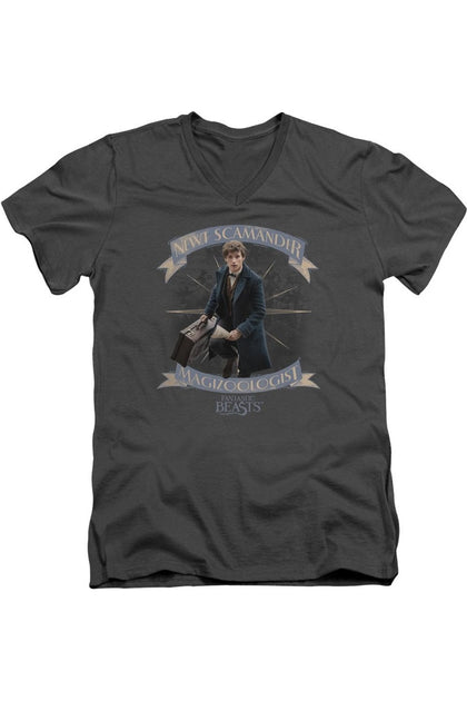 Gildan Fantastic Beasts Newt Scamander Short Sleeve V-Neck T-Shirt Grey Large 2