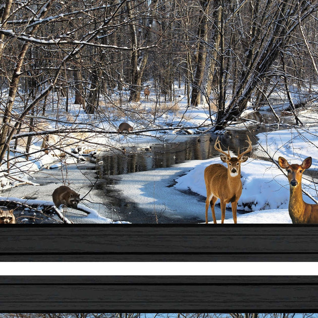 Hivvago Great Outdoors Winter Forest 3 Framed Print Wall Art Black 4