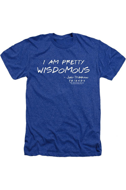 Gildan Friends Wisdomous Adult Heather Tee T-Shirt Blue Medium 2