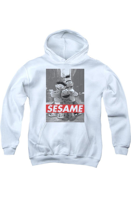 Gildan Sesame Street Youth Pullover Hoodie Blue Large 2