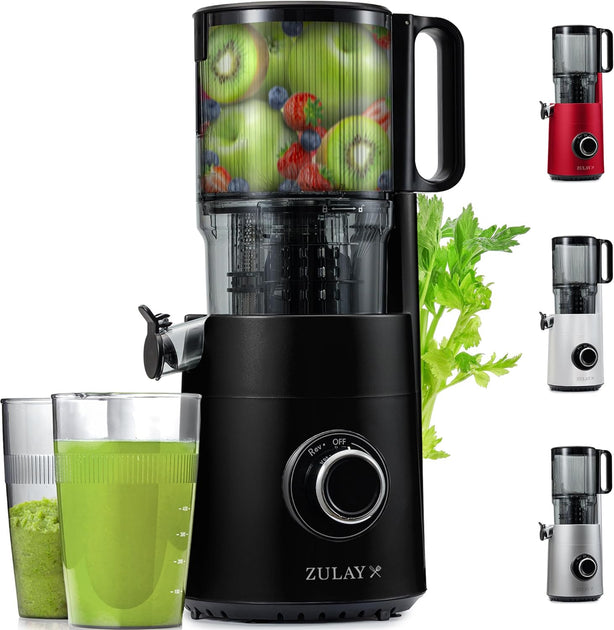 Zulay Kitchen elektrischer Entsafter mit Presswalze 2