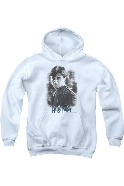 Gildan Harry Potter Sweat à Capuche Bleu XLarge 2