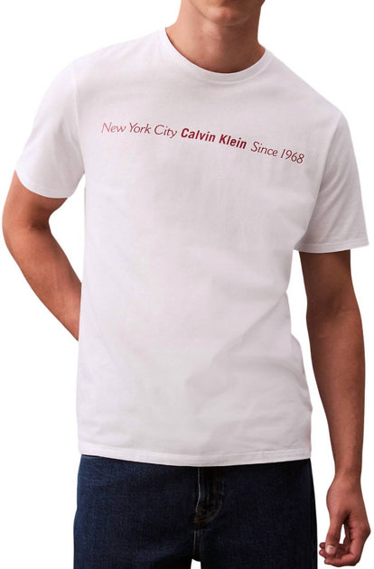 Calvin Klein T-Shirt Linear Text Logo Blanc Large 2