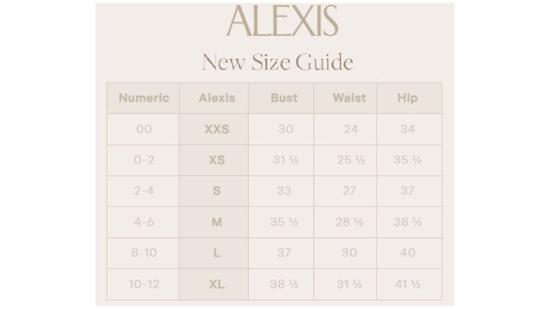ALEXIS Imena Dress Silver Medium 4