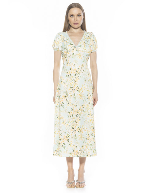 Robe Alexia Admor Silvius Multi US 14 2