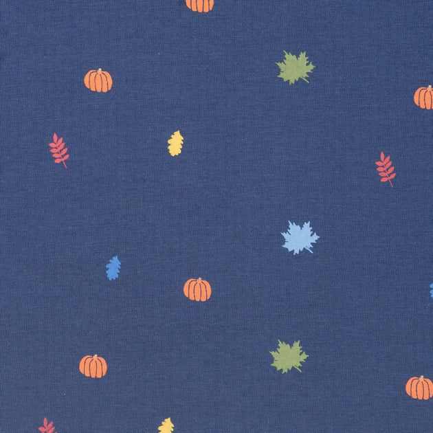 Andy & Evan Kid's Fall Themed Rugby Shirt Blue US 6 4