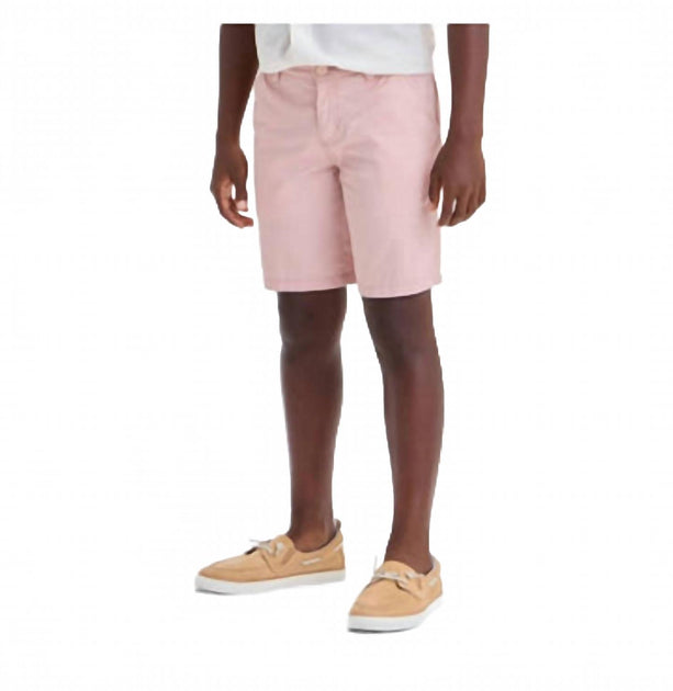 Hawks Bay Premier Chino Shorts Pink US 40 2